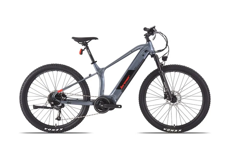 Bicicletta elettrica per adulti