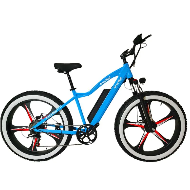 Montagna elettrica Fat Tire