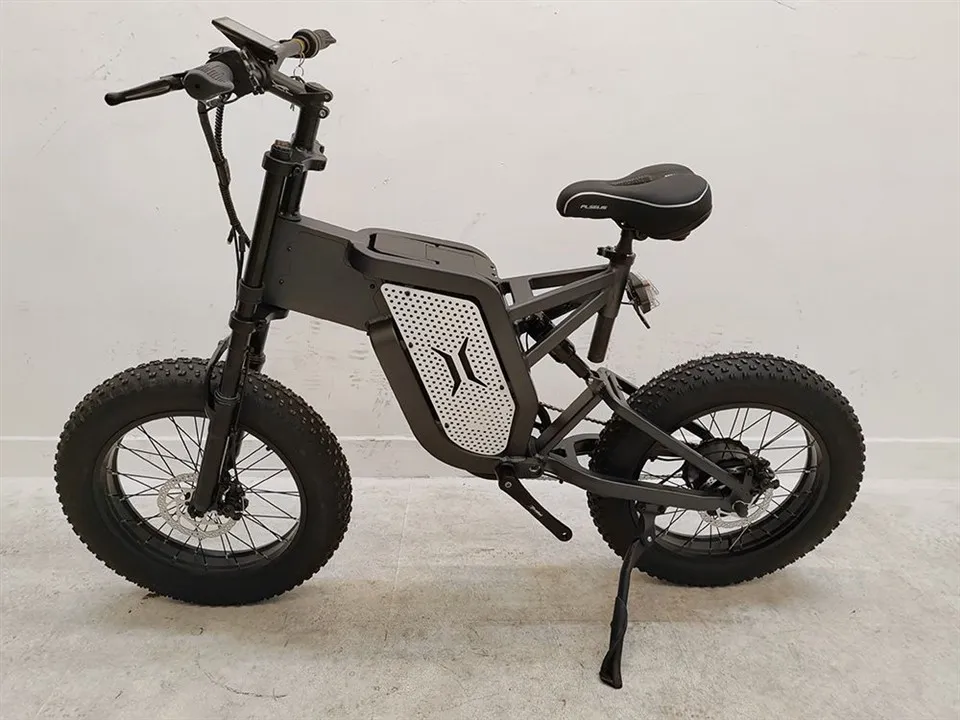 Pneumatico Mountain E-Bike per adulti