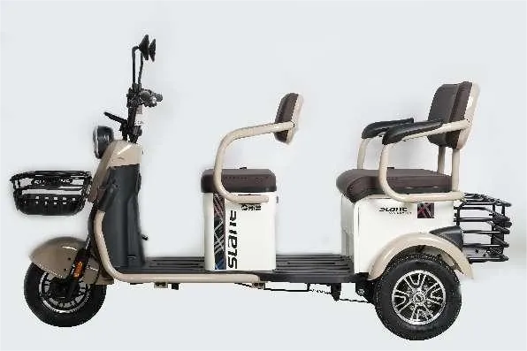Scooter elettrici per disabili per adulti