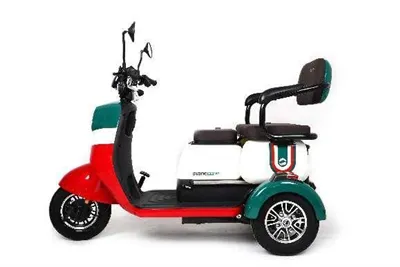 Ruota per triciclo elettrico per adulti