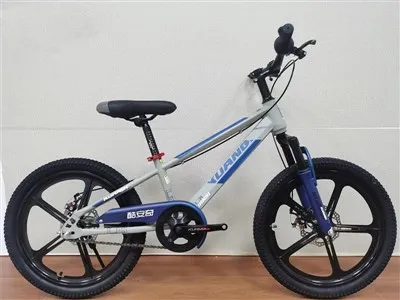 Mountain bike junior