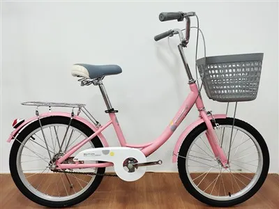 Bicicletta per bambini 16 pollici