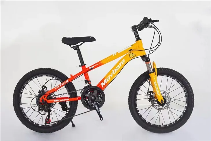 Biciclette per adolescenti