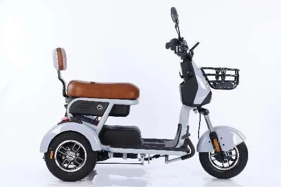 Biciclette elettriche a tre ruote